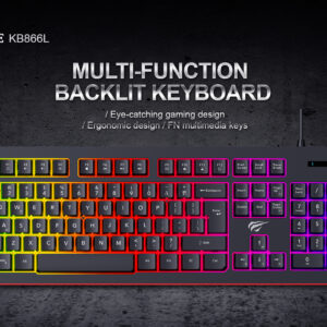 HAVIT KB866L Gaming Keyboard